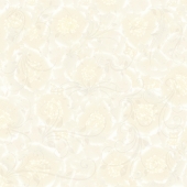 Gạch lát nền 60x60