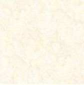 Gạch lát nền 60x60