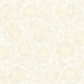 gạch lát nền 60*60