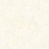 gạch lát nền 60*60