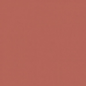 gạch lát sân vườn