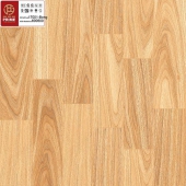 gạch lát nền 60*60