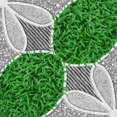 gạch lát sân vườn